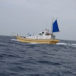 金沢八景鴨下丸 釣果