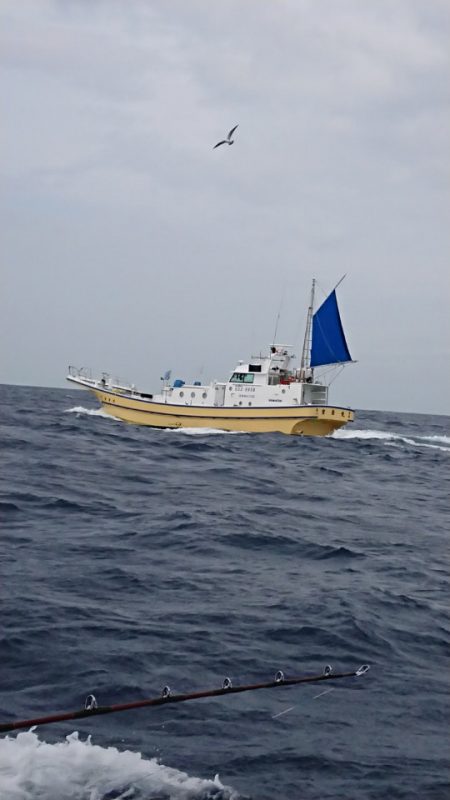 金沢八景鴨下丸 釣果