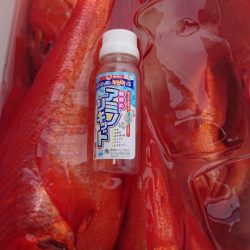 金沢八景鴨下丸 釣果