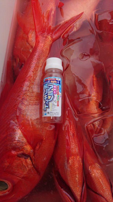 金沢八景鴨下丸 釣果