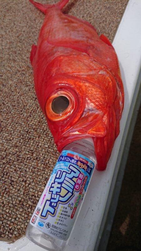 金沢八景鴨下丸 釣果