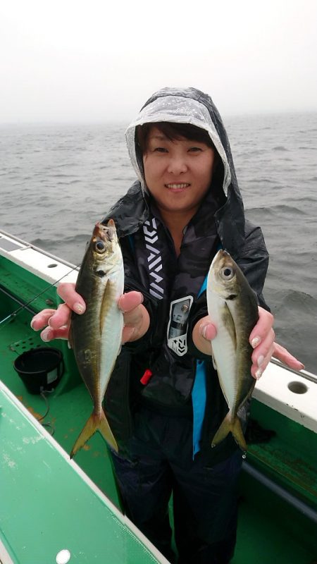 金沢八景鴨下丸 釣果