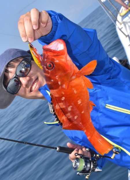 渡船屋たにぐち 釣果