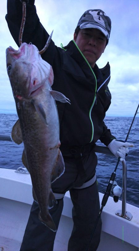 ARCADIAⅡ (アルカディアⅡ) 釣果