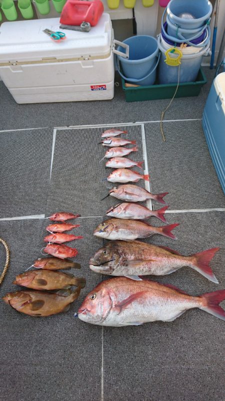 ARCADIAⅡ (アルカディアⅡ) 釣果