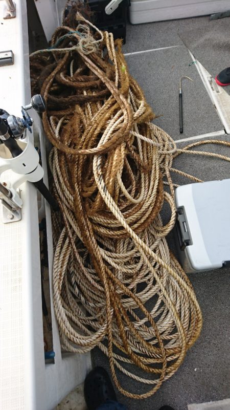 ARCADIAⅡ (アルカディアⅡ) 釣果