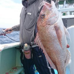 だて丸 釣果