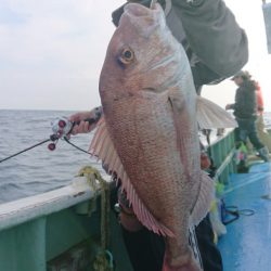 だて丸 釣果
