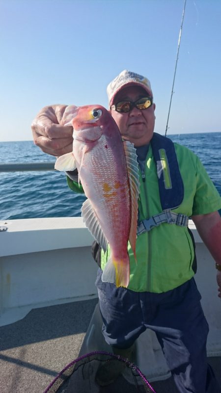 ARCADIAⅡ (アルカディアⅡ) 釣果