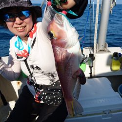 ARCADIAⅡ (アルカディアⅡ) 釣果