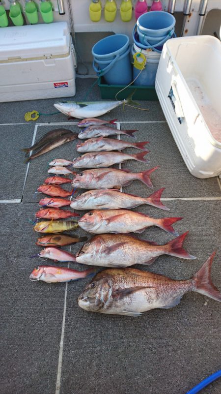 ARCADIAⅡ (アルカディアⅡ) 釣果