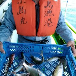 小島丸 釣果