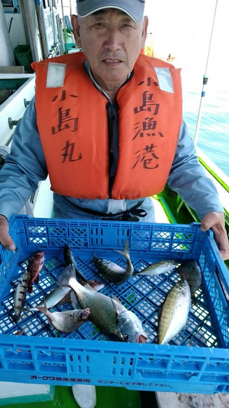 小島丸 釣果