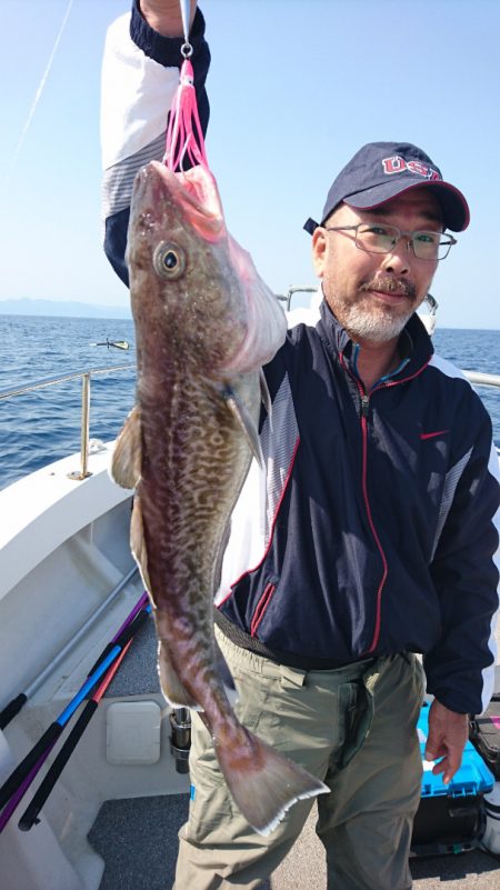 ARCADIAⅡ (アルカディアⅡ) 釣果