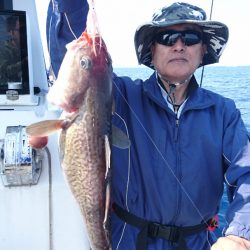 ARCADIAⅡ (アルカディアⅡ) 釣果