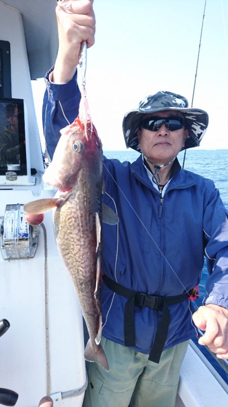 ARCADIAⅡ (アルカディアⅡ) 釣果