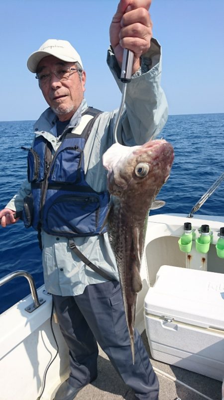 ARCADIAⅡ （アルカディアⅡ） 釣果…