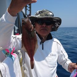 ARCADIAⅡ (アルカディアⅡ) 釣果