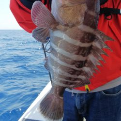 第二龍勢丸 釣果