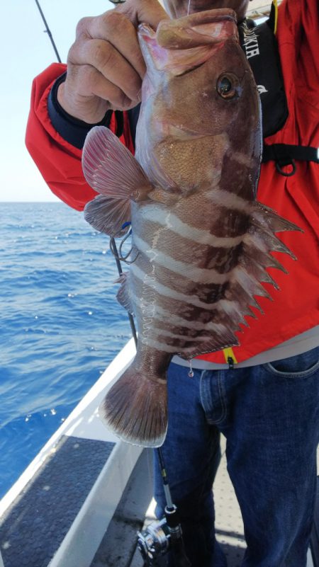 第二龍勢丸 釣果