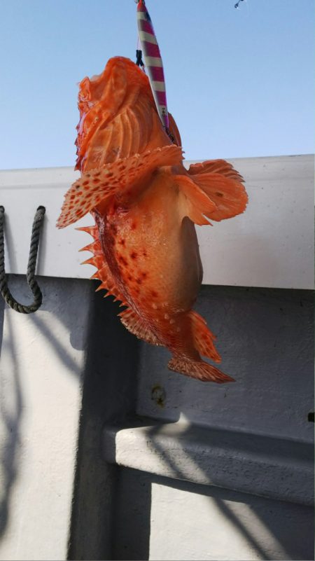 第二龍勢丸 釣果