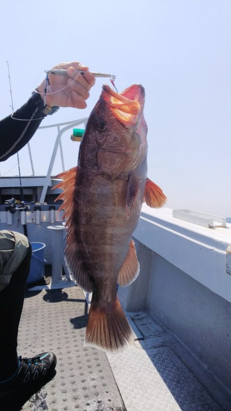 第二龍勢丸 釣果