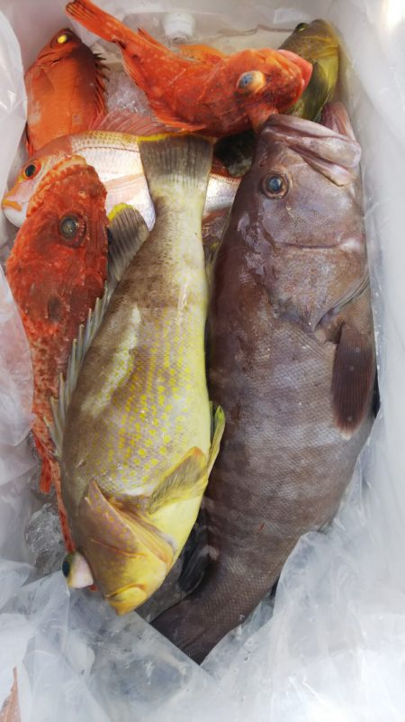 第二龍勢丸 釣果