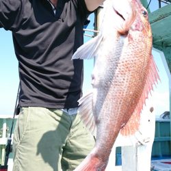 だて丸 釣果
