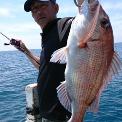 だて丸 釣果