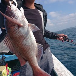 だて丸 釣果