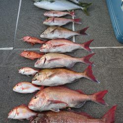 ARCADIAⅡ (アルカディアⅡ) 釣果