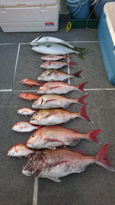 ARCADIAⅡ (アルカディアⅡ) 釣果