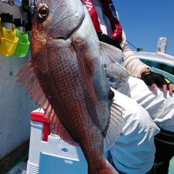 だて丸 釣果