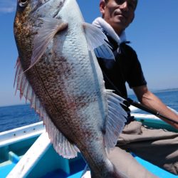 だて丸 釣果