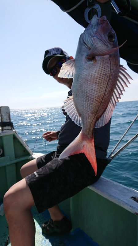 だて丸 釣果