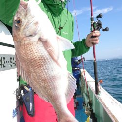だて丸 釣果
