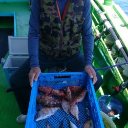 小島丸 釣果