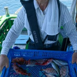 小島丸 釣果