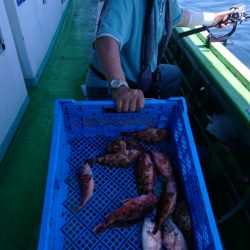 小島丸 釣果