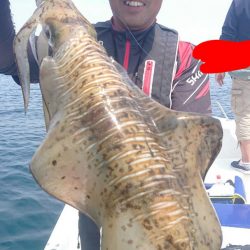 きずなまりん 釣果