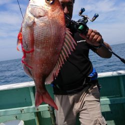 だて丸 釣果