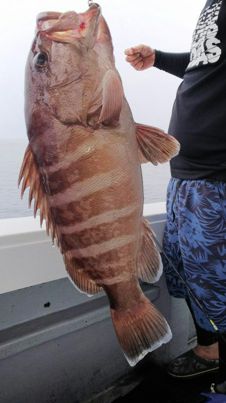 第二龍勢丸 釣果