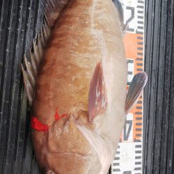 第二龍勢丸 釣果