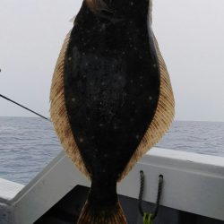 第二龍勢丸 釣果