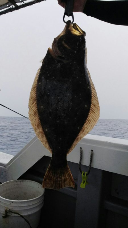 第二龍勢丸 釣果