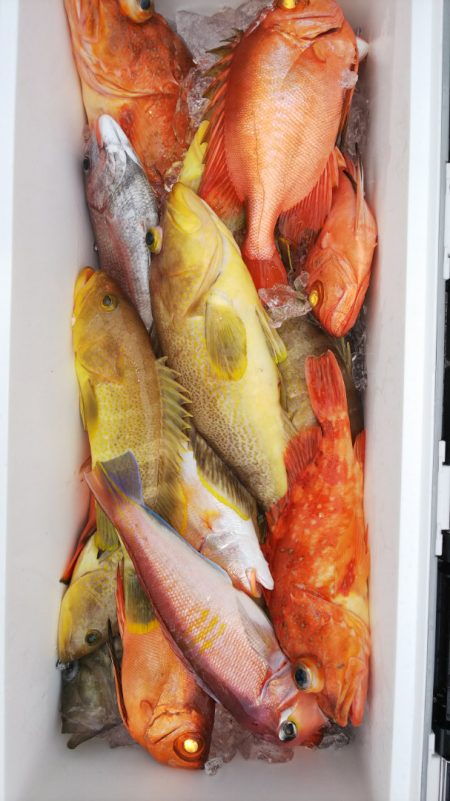 第二龍勢丸 釣果