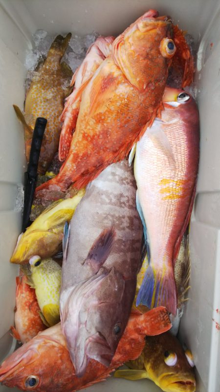 第二龍勢丸 釣果