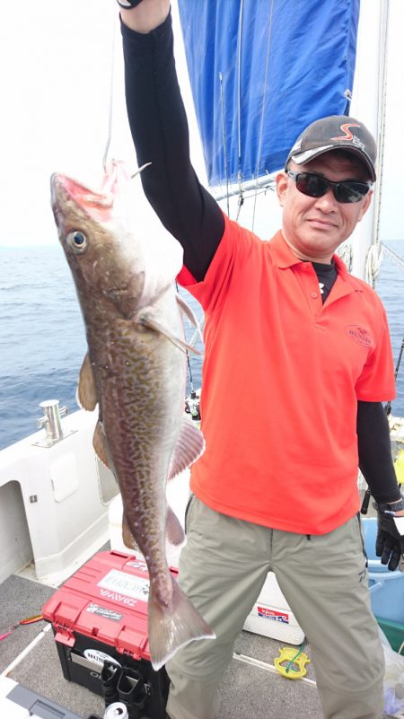 ARCADIAⅡ （アルカディアⅡ） 釣果…