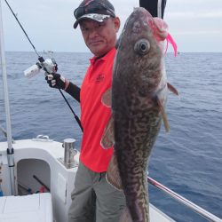 ARCADIAⅡ (アルカディアⅡ) 釣果