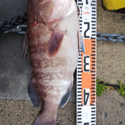 第二龍勢丸 釣果